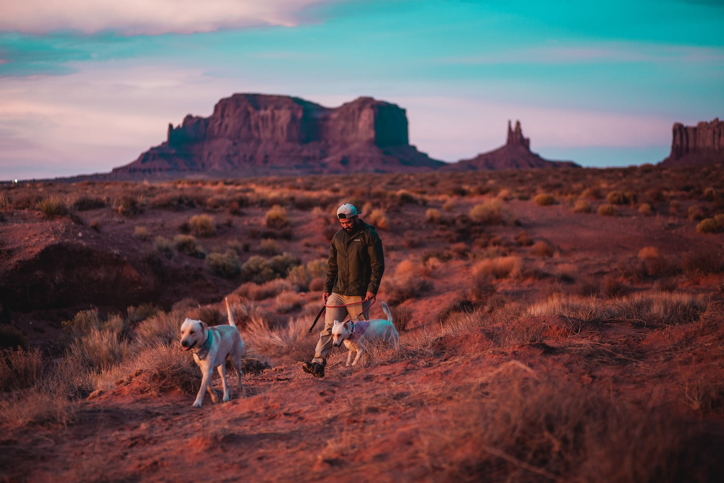 Hiking with healthy and active dogs in desert valley at sunset
