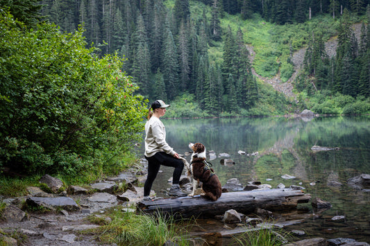 What to Pack for Your Dog on a Day Hike