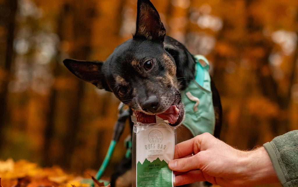 Healthy sustainable organic responsibly sourced real meat dog food and snacks