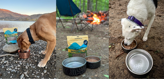 What Are Macronutrients (and Why They Matter for Your Dog’s Health)