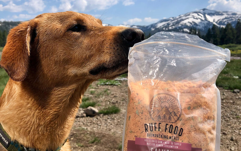 Freeze dried grass fed real meat raw fed active healthy dog food