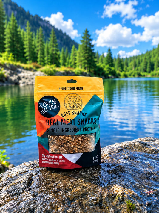 Ruff Snacks Buying Guide: Fueling Your K9 Adventure Partner in 2026