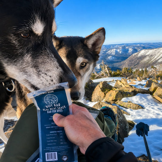 Adventure-Ready Nutrition: The Ultimate Ruff Bars Buying Guide for 2026