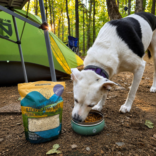 How to Use Raw Freeze Dried Dog Food for Maximum Performance: The Ultimate Guide