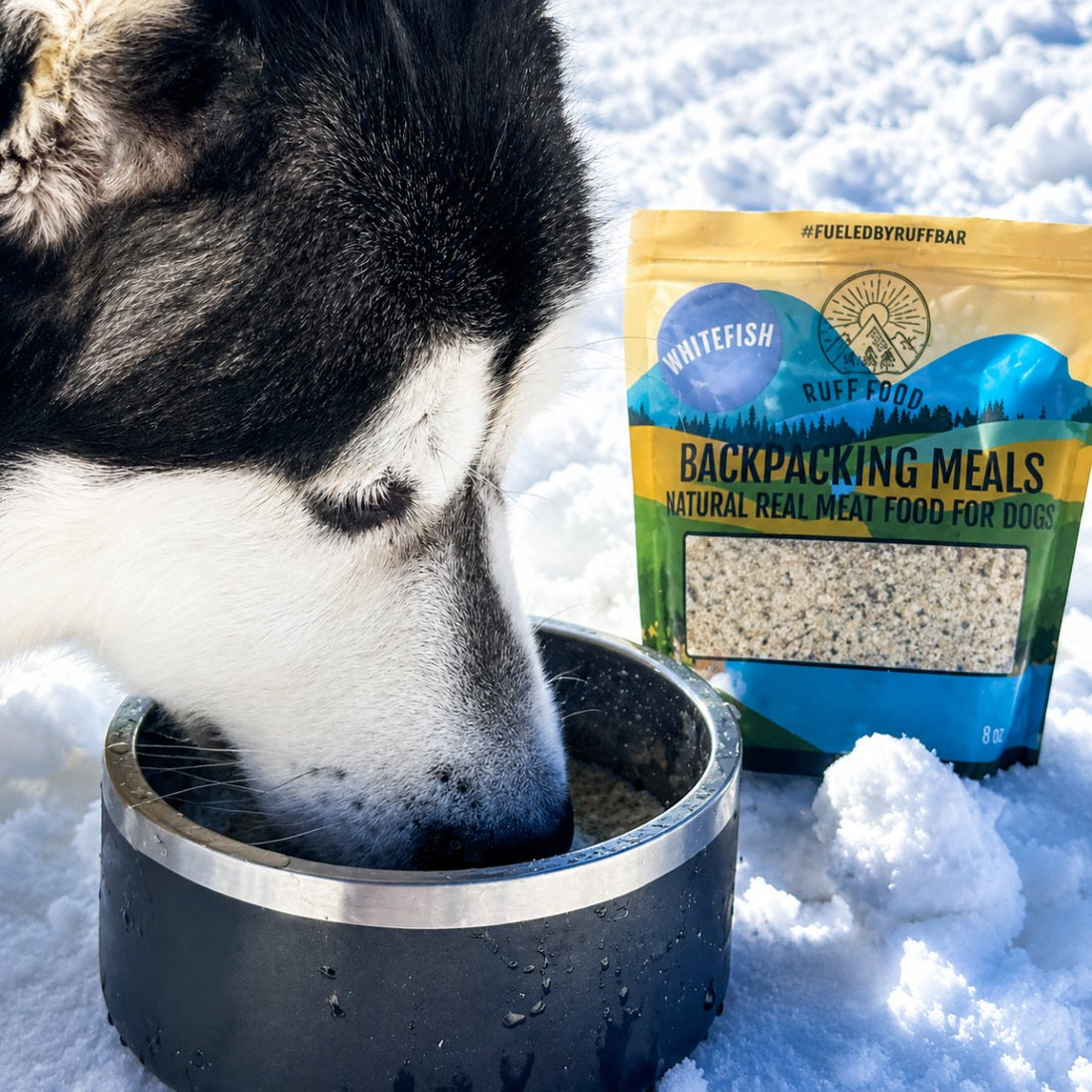 Cooling Proteins for Dogs: Managing Performance and Thermal Load Naturally