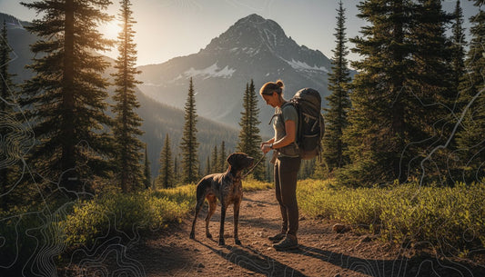 Fueling for the Trail: What to Feed Your Dog Before a Long Hike (2026)