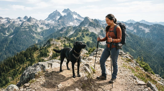 How Many Calories Does an Active Dog Need? Tactical Fueling for the Trail