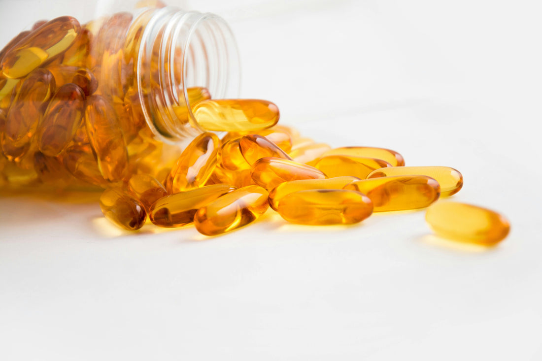 Fish Oil, Omegas, and Supplements for Dogs