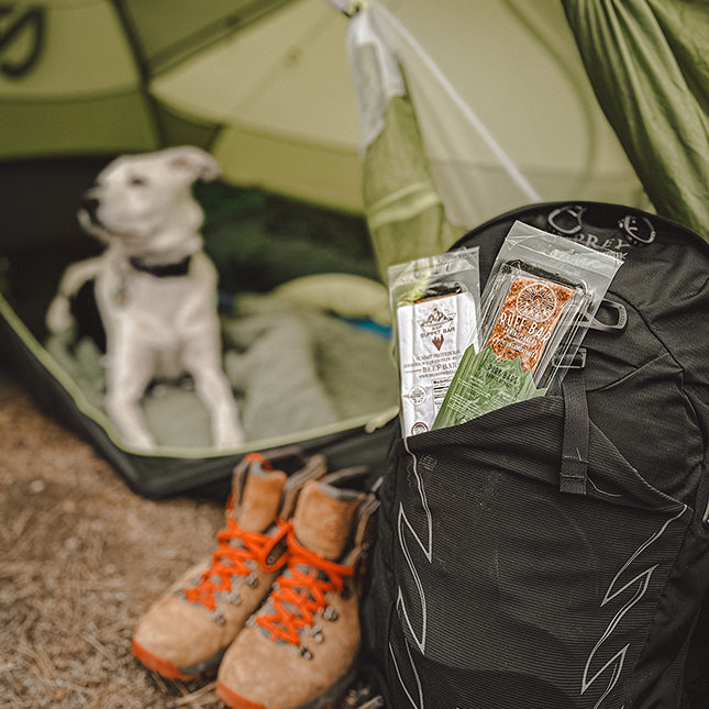 Camping dog real meat no preservative dog treat for healthy dog power bar