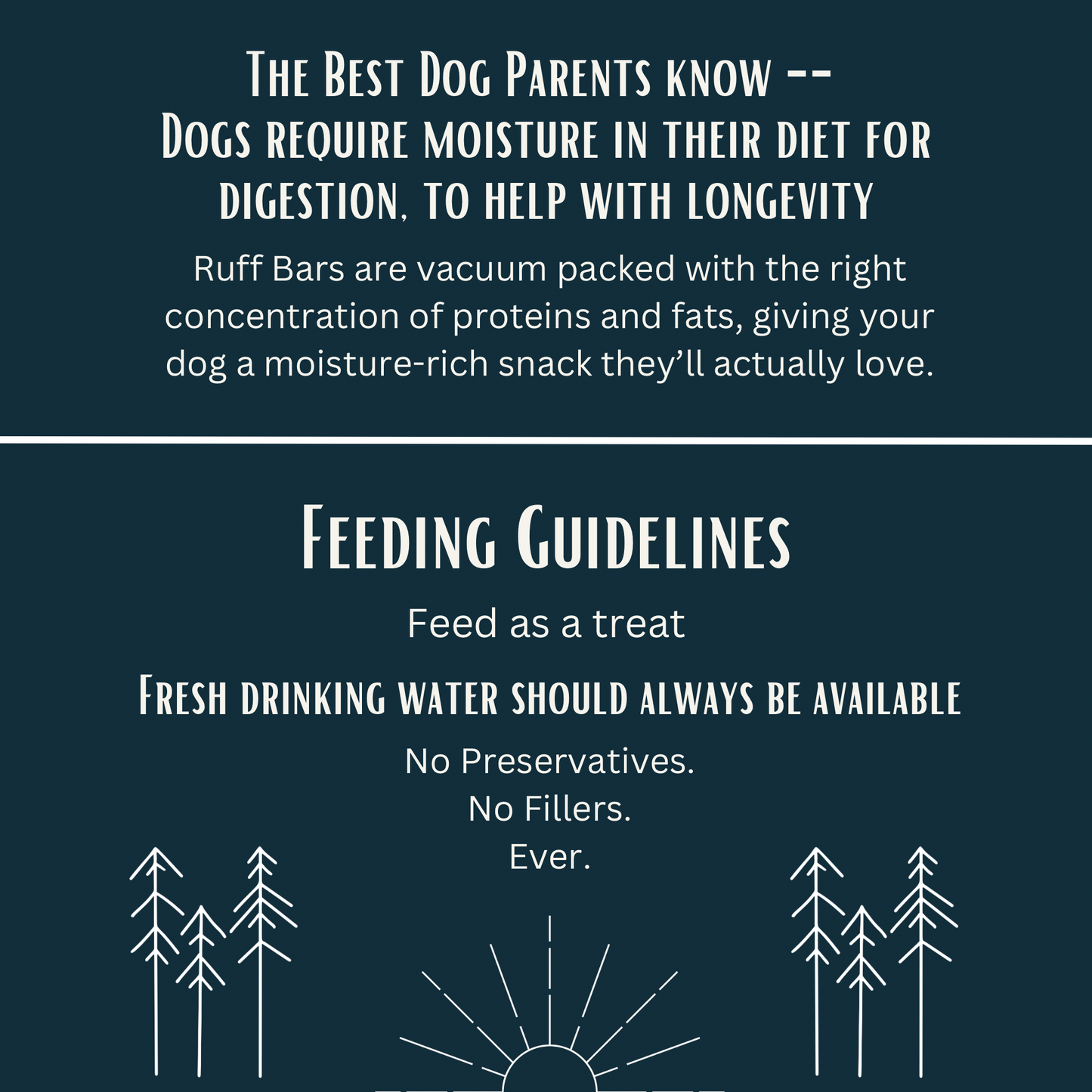 Ruff Bar® Beef — High-Protein Adventure Energy Bar for Active Dogs