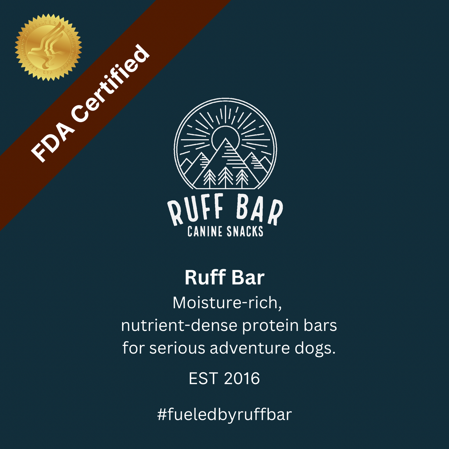 Ruff Bar® Beef — High-Protein Adventure Energy Bar for Active Dogs