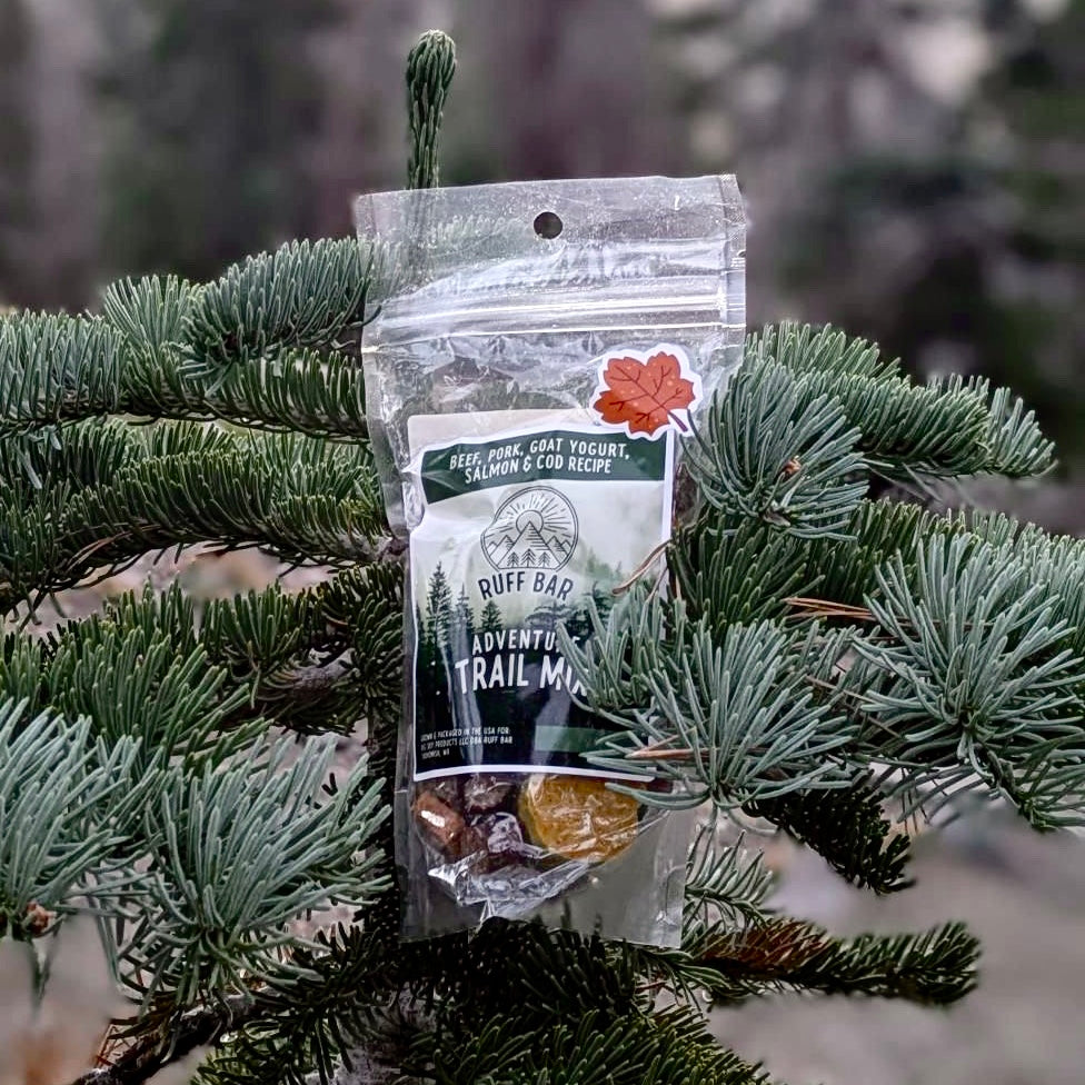 Adventure Trail Mix