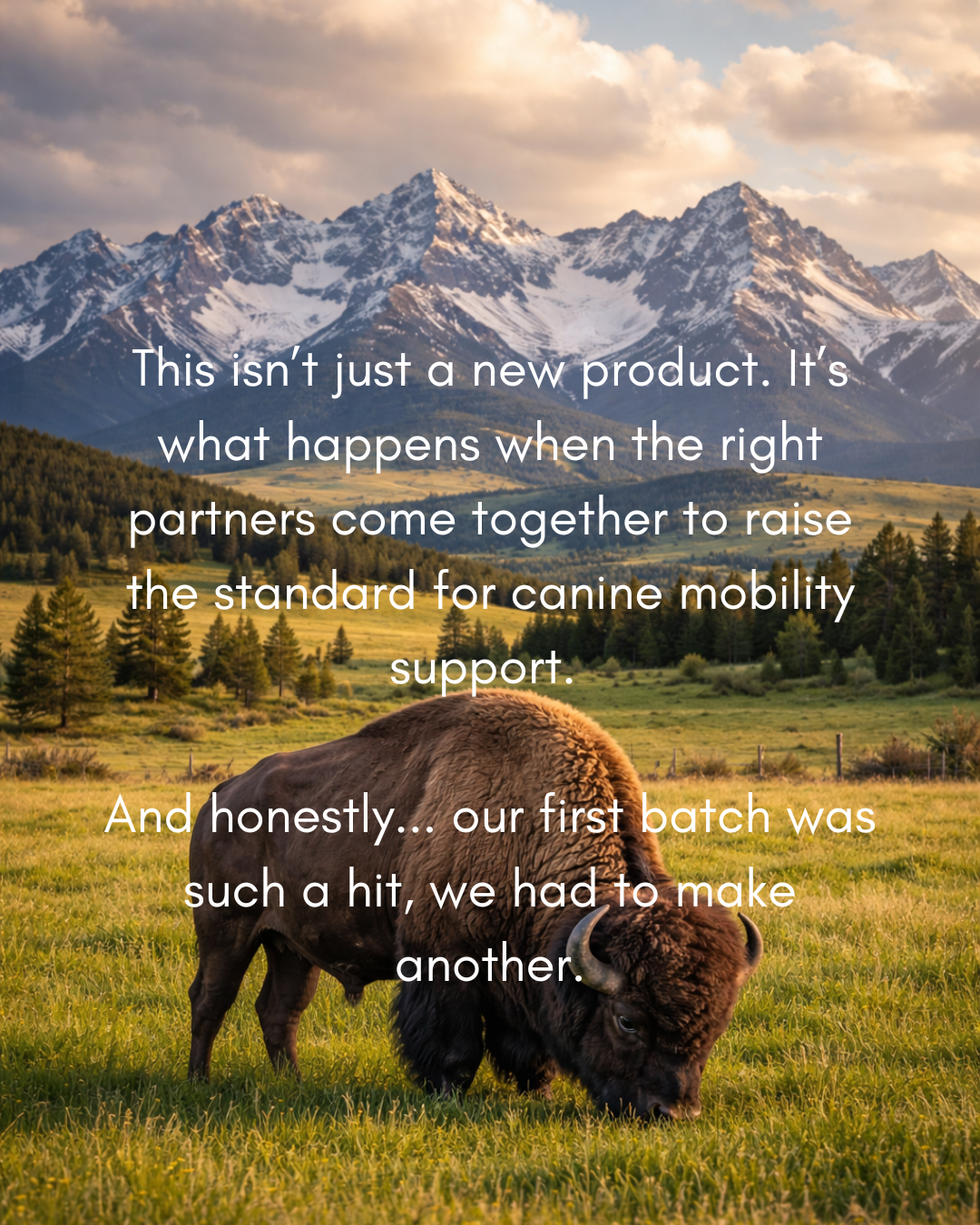 MOVE Bison Ruff Stix® — High-Protein Trail Fuel & Functional Nutrition for All Dogs