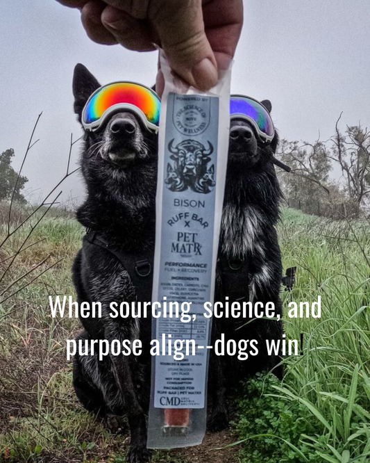 MOVE Bison Ruff Stix® — High-Protein Trail Fuel & Functional Nutrition for All Dogs