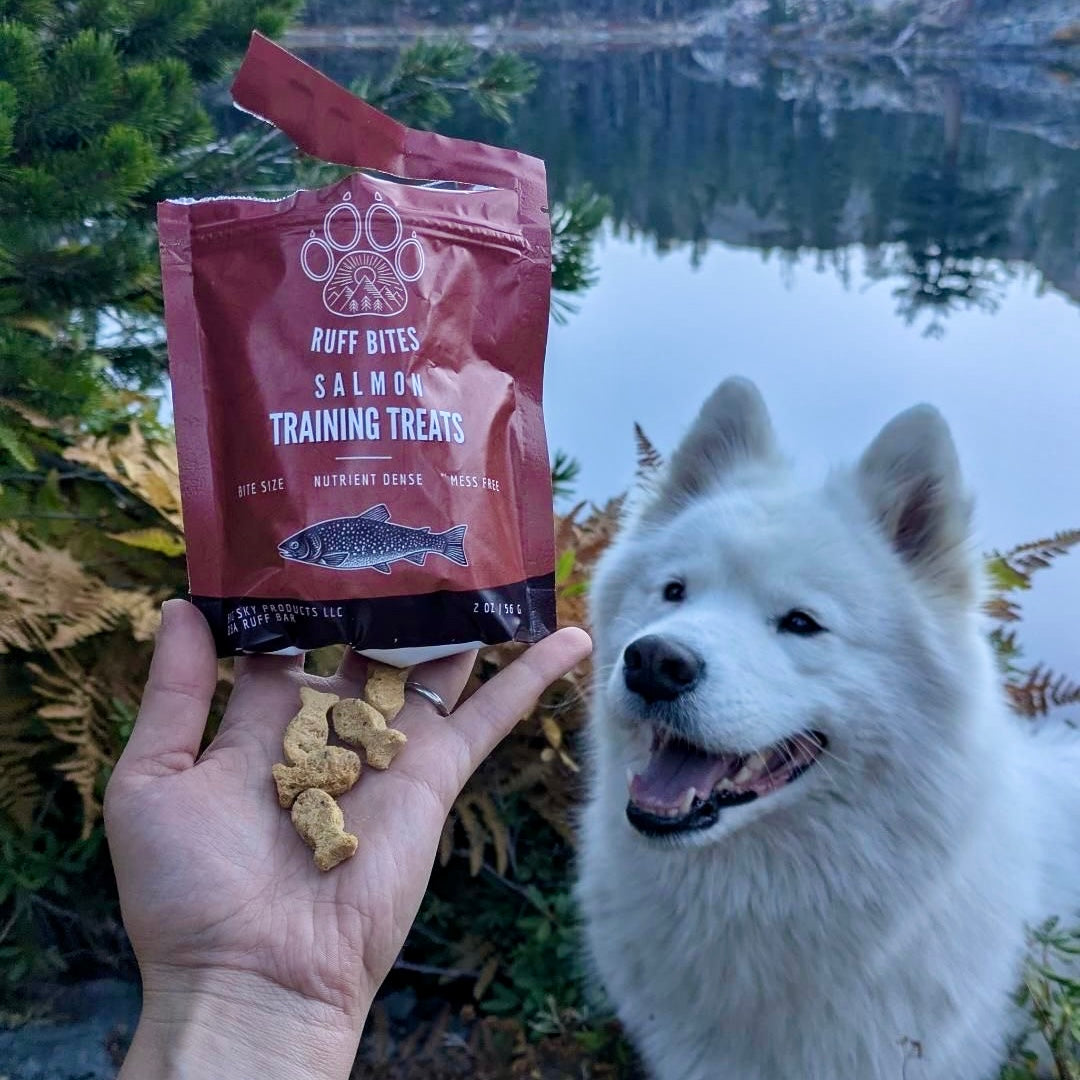 Salmon Ruff Bites Training Treats