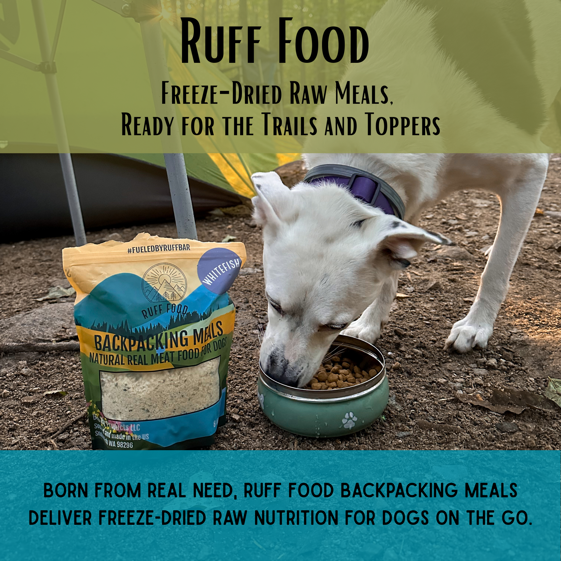 Ruff Food | Freeze Dried Dog Food | Real Meat & Hormone Free