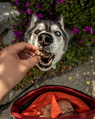 Elk Ruff Snacks - Freeze Dried Raw Single Proteins