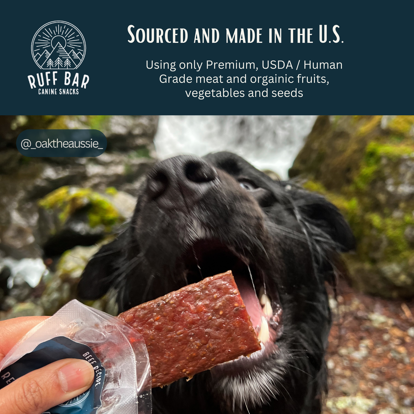 Ruff Bar® Beef — High-Protein Adventure Energy Bar for Active Dogs