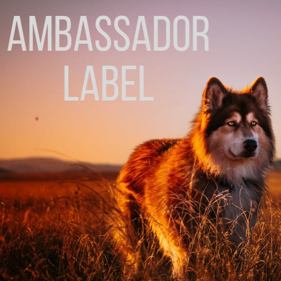Ruff Bar ambassador label