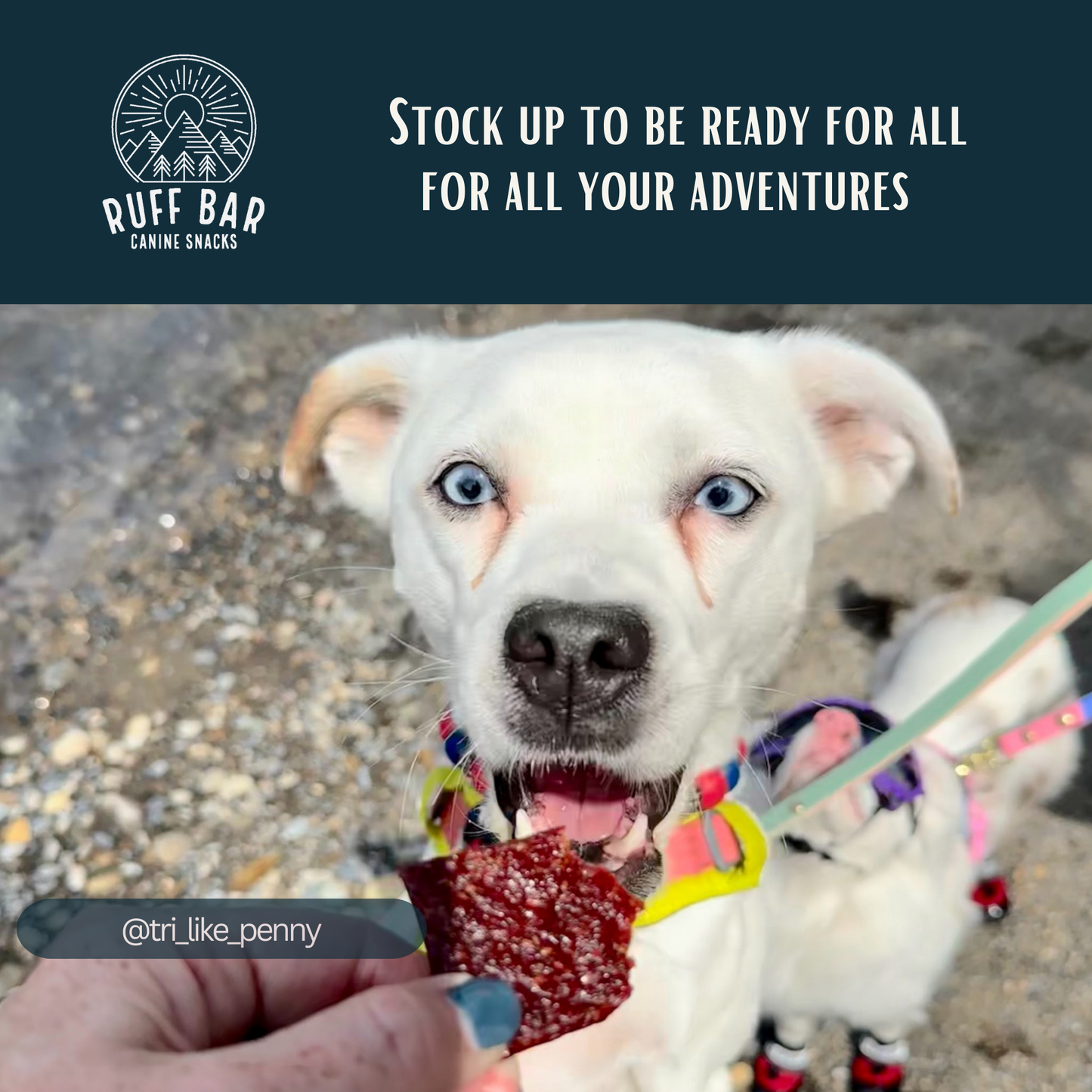 Ruff Bar® Beef — High-Protein Adventure Energy Bar for Active Dogs