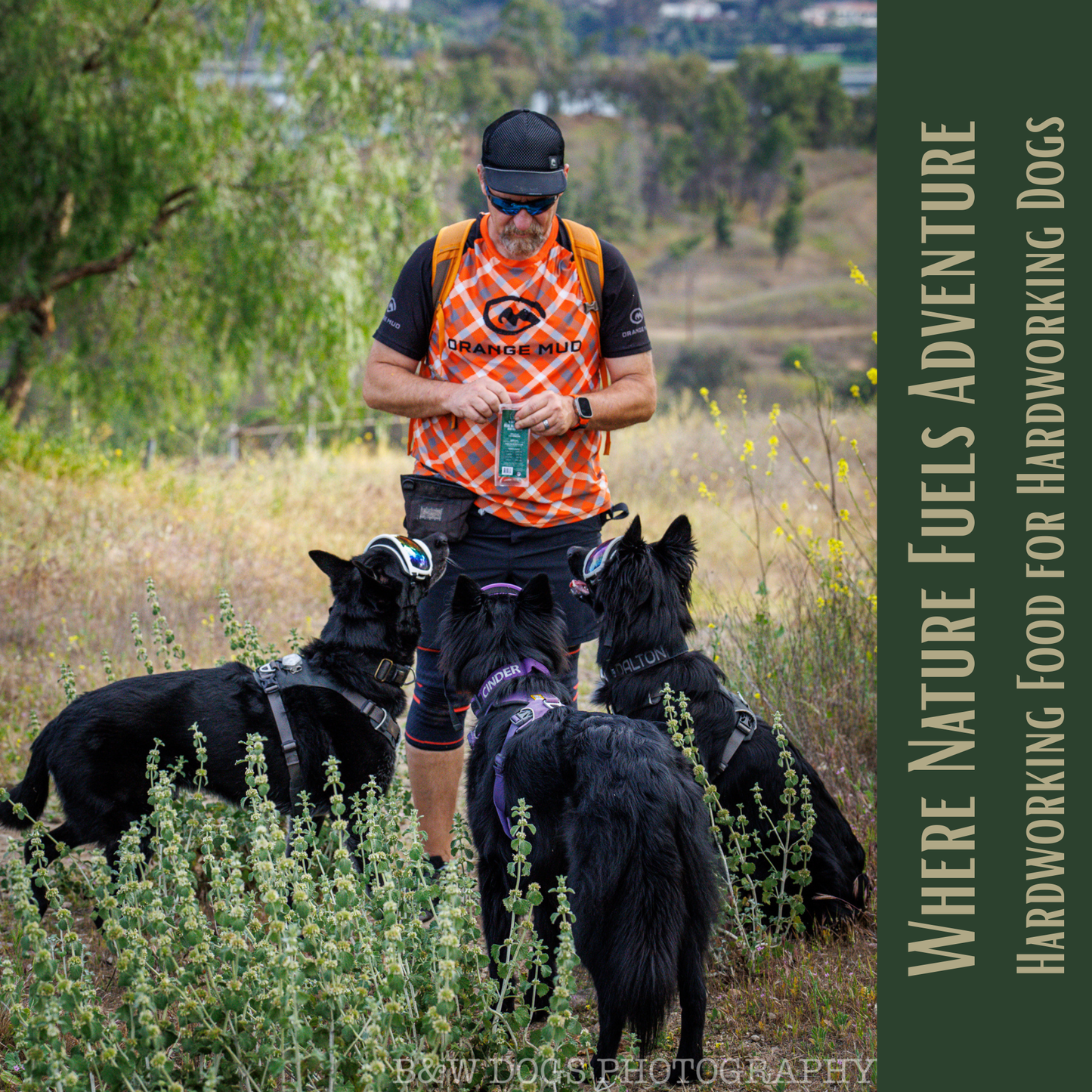 Ruff Bar® Pork — High-Protein Adventure Energy Bar for Active Dogs