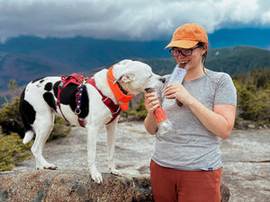 Ruff Bar - The First Adventure Protein Hiking Bar for Dogs