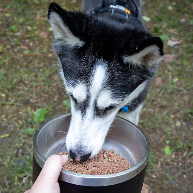 Healthy Quail Dog Ruff Food Dehydrated raw food for raw fed dogs hiking