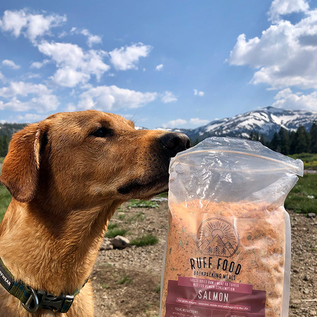 Healthy salmon Dog Ruff Food Dehydrated raw food for active dogs hiking