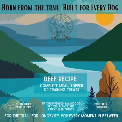 Beef Ruff Food Bites