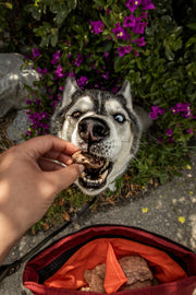 Venison Ruff Snacks - Freeze Dried Raw Single Proteins