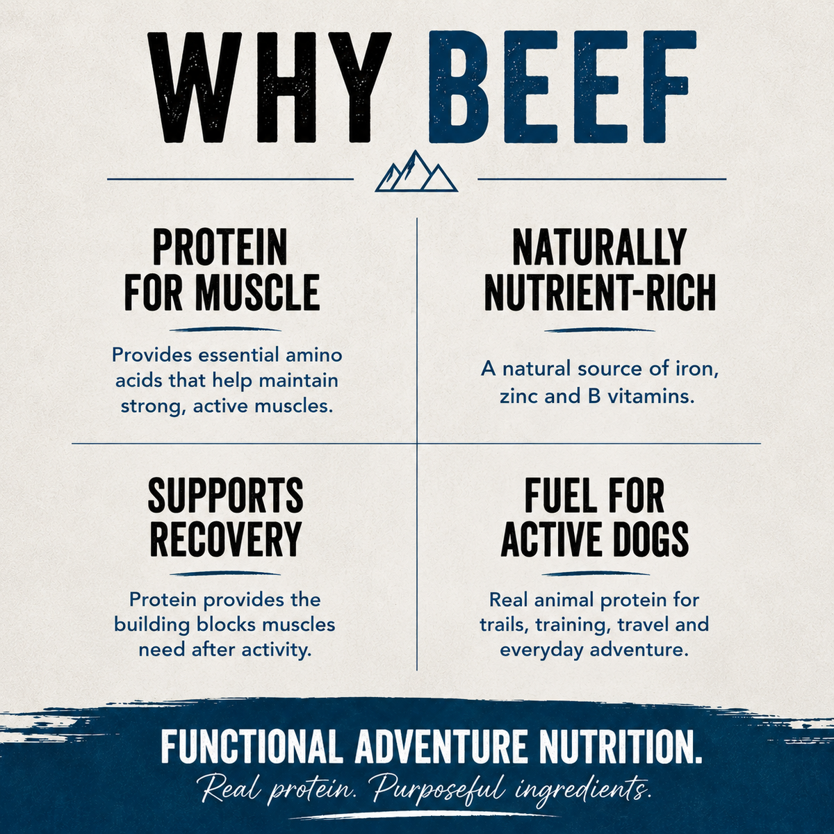 Ruff Stix® Beef — High-Protein Trail Fuel for Active Dogs