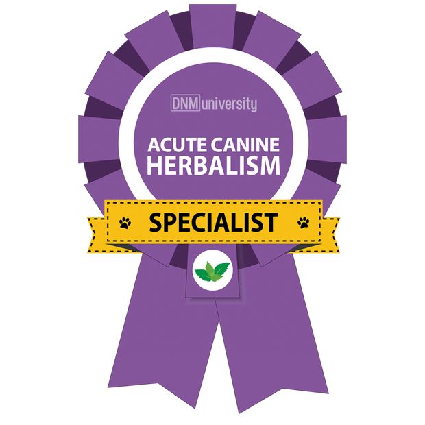 Acute Canine Herbalism Specialist Degree Certificate
